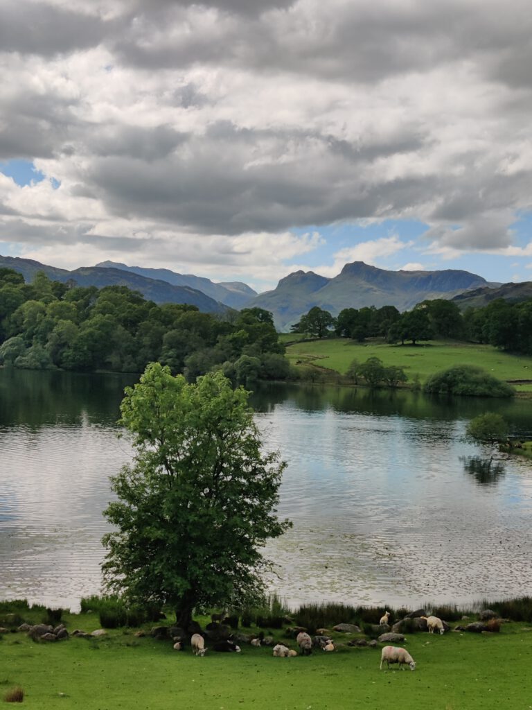 Ullswater Cabin Holiday Lodge, situated in the Langdale Valley at Neaum Crag near Ambleside in the Lake District. Available for weekly bookings, Saturday to Saturday, March to November