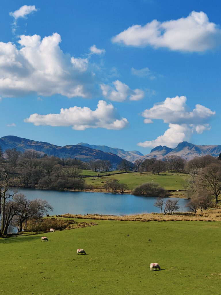 Ullswater Cabin Holiday Lodge, situated in the Langdale Valley at Neaum Crag near Ambleside in the Lake District. Available for weekly bookings, Saturday to Saturday, March to November