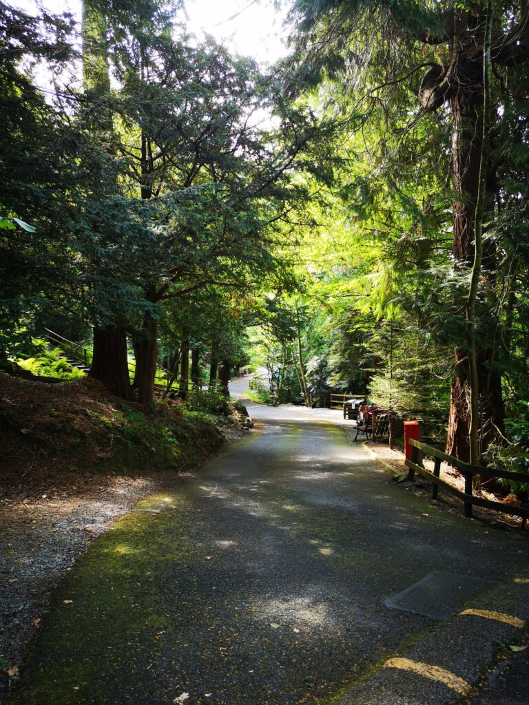 Ullswater Cabin Holiday Lodge, situated in the Langdale Valley at Neaum Crag near Ambleside in the Lake District. Available for weekly bookings, Saturday to Saturday, March to November