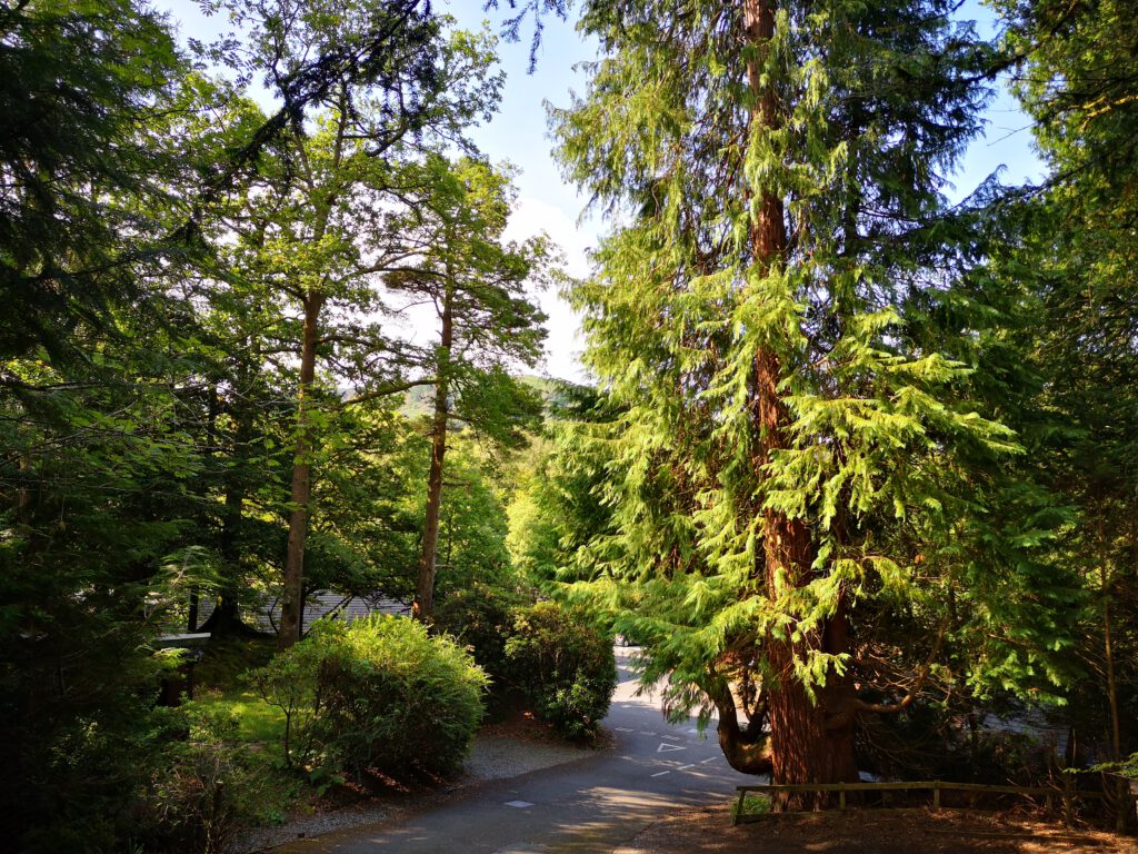 Ullswater Cabin Holiday Lodge, situated in the Langdale Valley at Neaum Crag near Ambleside in the Lake District. Available for weekly bookings, Saturday to Saturday, March to November