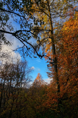 Perfect Autumn Holidays in the Lake District - Neaum Crag, Ullswater Cabin