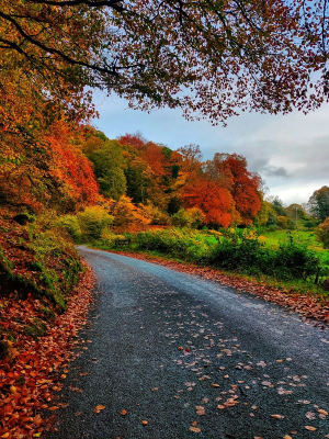 Perfect Autumn Holidays in the Lake District - Neaum Crag, Ullswater Cabin